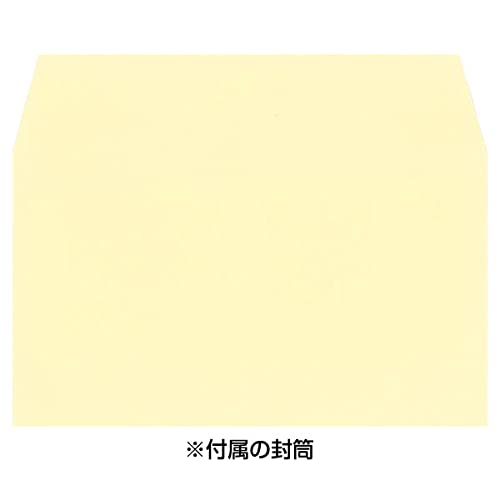 Sanrio Elementary School Graduation and Entrance Ceremony Greeting Cards- Japan Figure Store - #1 Bring To You The Best Japanese Goods