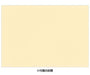 Sanrio Watercolor Cherry Blossom Thank You Card - Graduation/Admission Greeting- Japan Figure Store - #1 Bring To You The Best Japanese Goods