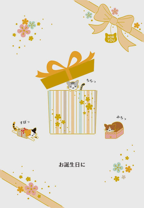 Sanrio Birthday Celebration Cats in Box Chimanyan Plush JP NY7-0 P 2407- Japan Figure Store - #1 Bring To You The Best Japanese Goods