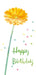 Sanrio Birthday Celebration Gerbera Single Flower Floral Arrangement- Japan Figure Store - #1 Bring To You The Best Japanese Goods
