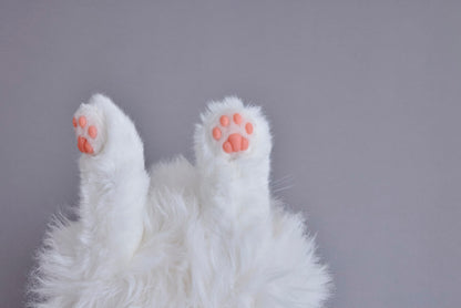 Sega Toys Fave Kimit Pet Robot Cat Brown Ragdoll Toy