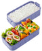 Skater Totoro Sky Blue 2-Tier 600Ml Bento Lunch Box - My Neighbor Totoro Yzw3- Japan Figure Store - #1 Bring To You The Best Japanese Goods