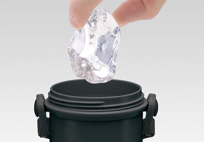 Skater Kids 480ml Pokemon 21 Pocket Monsters Antibacterial Water Bottle Made in Japan- Japan Figure Store - #1 Bring To You The Best Japanese Goods