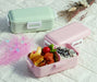 Skater 530Ml Dome-Shaped Lid Lunch Box Antibacterial Softly Serving Dull Pink - Made In Japan- Japan Figure Store - #1 Bring To You The Best Japanese Goods