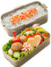 Skater Antibacterial Mauve Gray Bento Box 600ml 2 Tiers Softly Served with Domed Lid Made in Japan - Women's Lunchbox- Japan Figure Store - #1 Bring To You The Best Japanese Goods