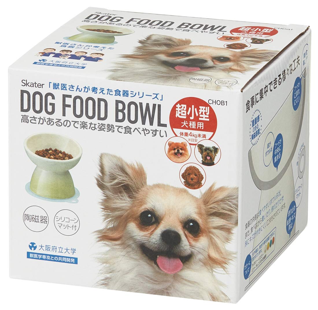 Skater Mint Ceramic Pet Food Bowl with Mat for Extra Small Dogs- Japan Figure Store - #1 Bring To You The Best Japanese Goods