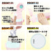 Skater Princess 23 Stainless Steel Children's Water Bottle 420ml Light Thermal Insulation for Girls- Japan Figure Store - #1 Bring To You The Best Japanese Goods
