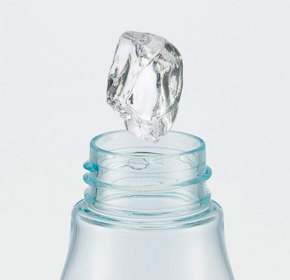 Skater Disney Frozen 2 500ml Water Bottle with Tea Strainer- Japan Figure Store - #1 Bring To You The Best Japanese Goods