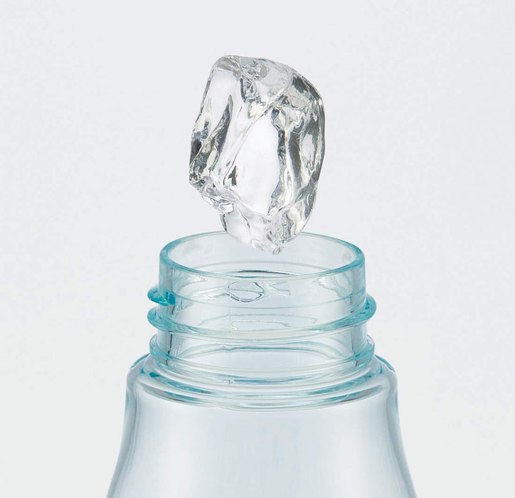 Skater Disney Frozen 2 500ml Water Bottle with Tea Strainer- Japan Figure Store - #1 Bring To You The Best Japanese Goods