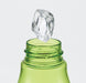 Skater 500ml Direct Drinking Water Bottle with Tea Strainer Avocado Color- Japan Figure Store - #1 Bring To You The Best Japanese Goods