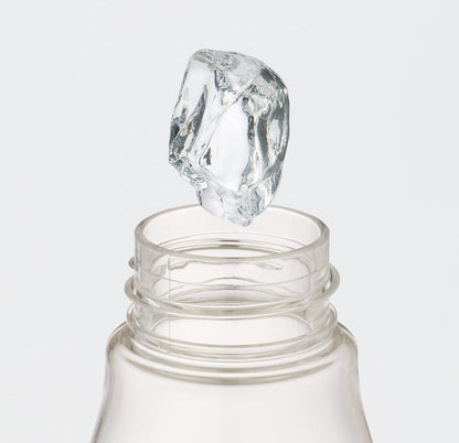 Skater Awesome Peanuts Snoopy 500ml Water Bottle with Tea Strainer- Japan Figure Store - #1 Bring To You The Best Japanese Goods