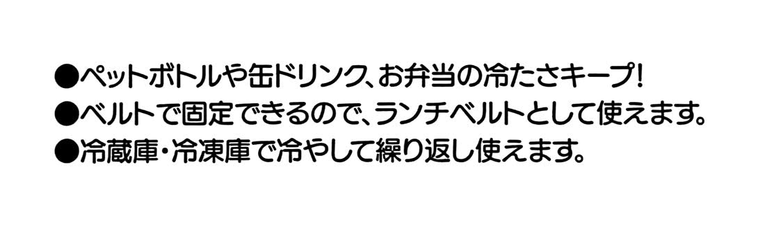 Skater Disney Minnie Mouse 14x8cm Ice Pack with Belt- Japan Figure Store - #1 Bring To You The Best Japanese Goods