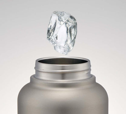 Skater 1500Ml Stainless Steel Insulated Mug Bottle with Screw Handle - Silver- Japan Figure Store - #1 Bring To You The Best Japanese Goods