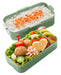 Skater Antibacterial 2-Tier Lunch Box 600ml Sage Green Soft Serve Domed Lid for Women Made in Japan- Japan Figure Store - #1 Bring To You The Best Japanese Goods