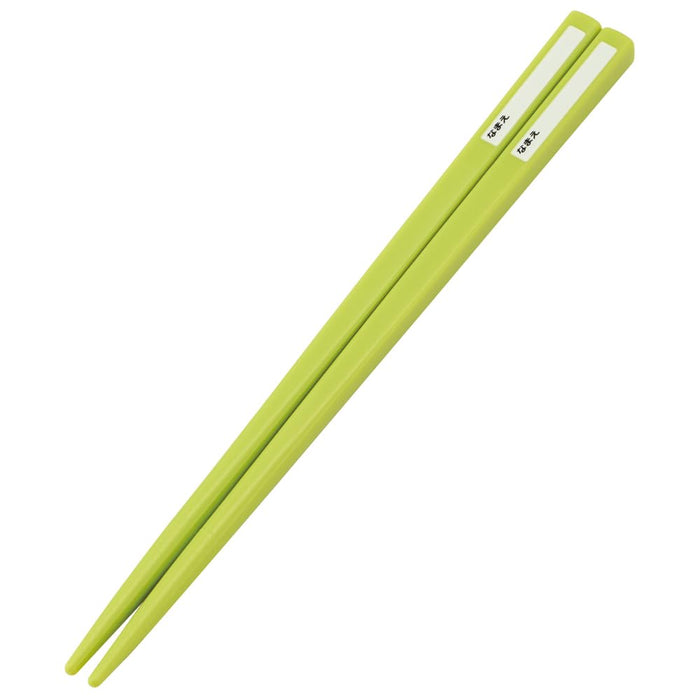 Skater Kids Dinosaur Lunch Box Trio with Spoon Fork Chopsticks Easy Open - Made in Japan- Japan Figure Store - #1 Bring To You The Best Japanese Goods