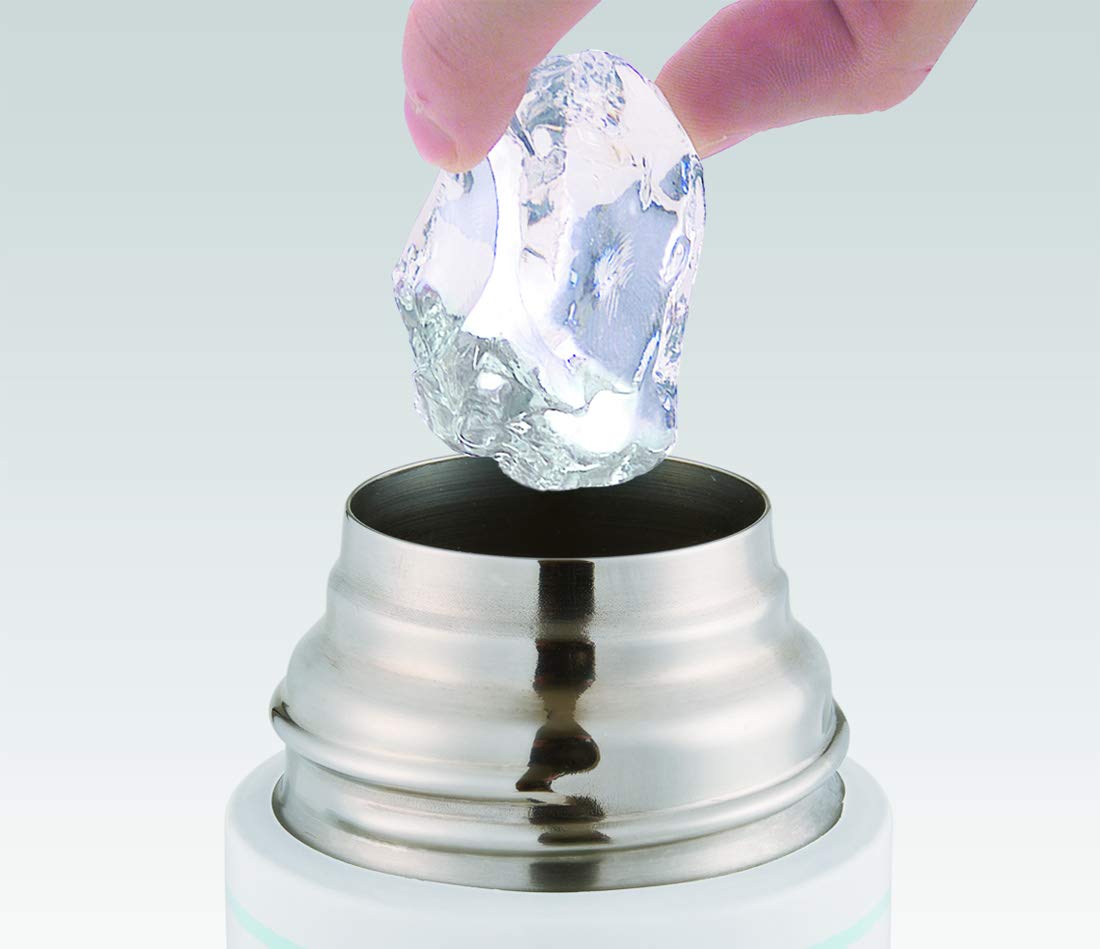 Skater Sumikko Gurashi Insulated Stainless Steel Water Bottle 360ml Capacity- Japan Figure Store - #1 Bring To You The Best Japanese Goods