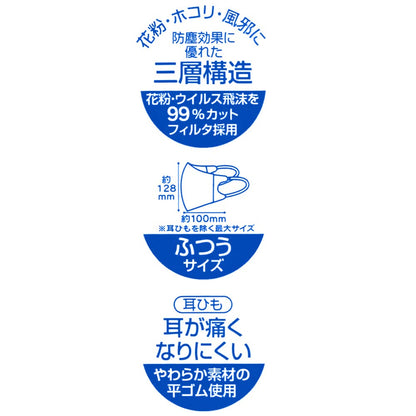 Skater Disney Chip & Dale 3D Non-Woven Regular Size Face Mask Three-Layer Pack of 10- Japan Figure Store - #1 Bring To You The Best Japanese Goods