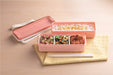 Skater 2-Tier 630ml Pink Lunch Box Silicone Lid Made in Japan Balanced Nutrition- Japan Figure Store - #1 Bring To You The Best Japanese Goods