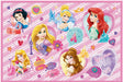 Skater Disney Princess Picnic Sheet S Size 60 X 90cm VS1 Model- Japan Figure Store - #1 Bring To You The Best Japanese Goods