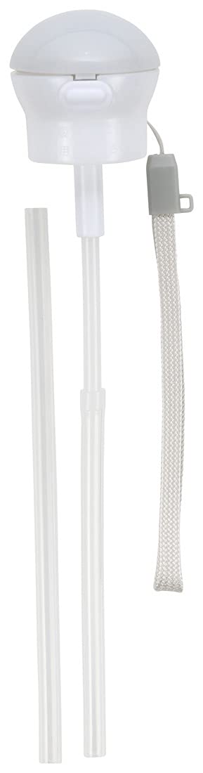 Skater 350ml and 500ml Gray and White Plastic Bottle with Straw Cap and Carrying Case- Japan Figure Store - #1 Bring To You The Best Japanese Goods