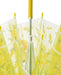 Skater Premium Adult Vinyl Long Umbrella 60cm - Pompompurin Sanrio Design- Japan Figure Store - #1 Bring To You The Best Japanese Goods