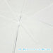 Skater Premium Adult Vinyl Long Umbrella 60cm - Pompompurin Sanrio Design- Japan Figure Store - #1 Bring To You The Best Japanese Goods