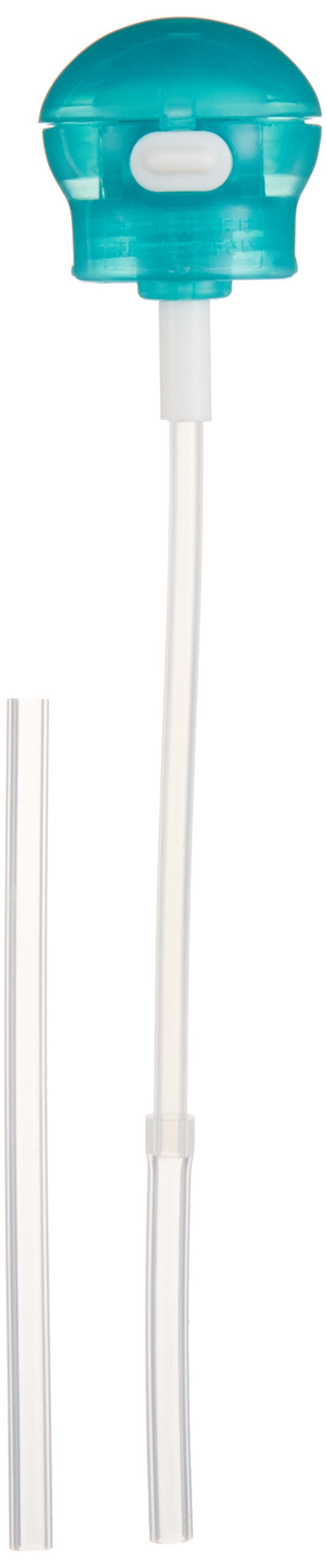 Skater Mint Green Push-Type Plastic Bottle with Straw Cap 350ml/500ml- Japan Figure Store - #1 Bring To You The Best Japanese Goods