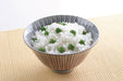 Skater Basic 2 Cup Rice Maker - Udg2-A Version by Skater- Japan Figure Store - #1 Bring To You The Best Japanese Goods