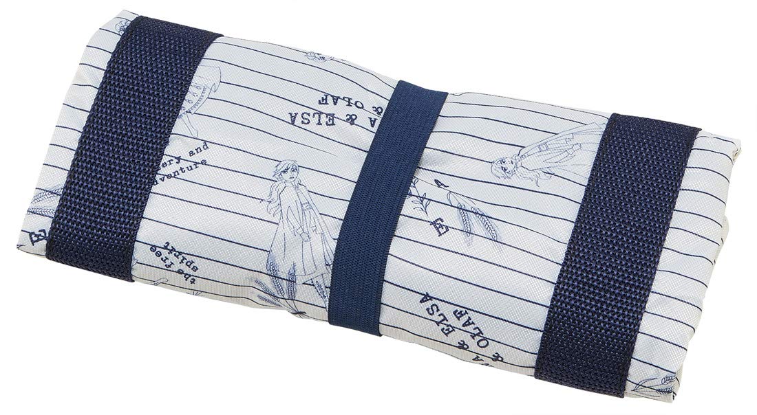 Skater Eco Shopping Bag with Drawstring 33x25x27cm - Frozen KBR44 Bag- Japan Figure Store - #1 Bring To You The Best Japanese Goods