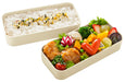 Skater 2-Tier Simple Lunch Box 600ml Nekotto Bento Box Made in Japan- Japan Figure Store - #1 Bring To You The Best Japanese Goods