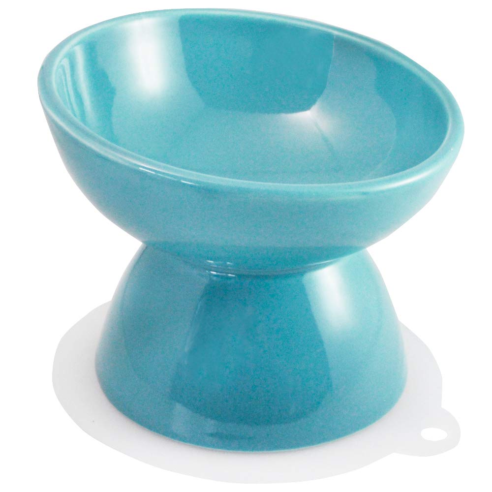 Skater Ceramic Small Dog Bowl with Mat Mint - Pet Feeder Chob2- Japan Figure Store - #1 Bring To You The Best Japanese Goods