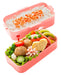 Skater Pink Herbarium 2-Tier Lunch Box Softly Served 600ml PFLW4- Japan Figure Store - #1 Bring To You The Best Japanese Goods