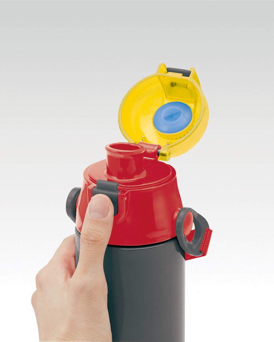 Skater Disney Cars 19 Stainless Steel Sports Water Bottle 580ml - Direct Drinking SDC6N- Japan Figure Store - #1 Bring To You The Best Japanese Goods