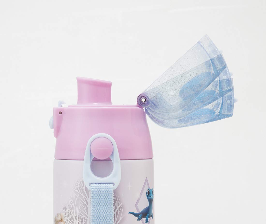 Skater Disney Frozen 21 Stainless Steel Sports Water Bottle 580ml Direct Drinking - Sdc6N- Japan Figure Store - #1 Bring To You The Best Japanese Goods