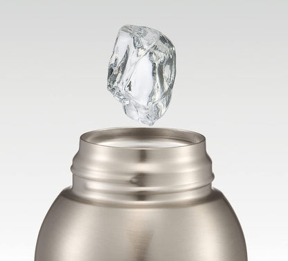 Skater Kids Stainless Steel Water Bottle 400ml Car Design Lightweight Wide Mouth Cold-Keeping Disney- Japan Figure Store - #1 Bring To You The Best Japanese Goods