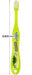 Skater Soft Dinosaur Toothbrush for Preschoolers Ages 3-5 14cm Model Tb5S-A- Japan Figure Store - #1 Bring To You The Best Japanese Goods