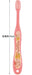 Skater Preschoolers Toothbrush My Neighbor Totoro Theme Soft 14cm Ages 3-5- Japan Figure Store - #1 Bring To You The Best Japanese Goods