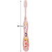 Skater Princess Soft Toothbrush Set for Preschoolers Ages 3-5 14cm - Pack of 3- Japan Figure Store - #1 Bring To You The Best Japanese Goods