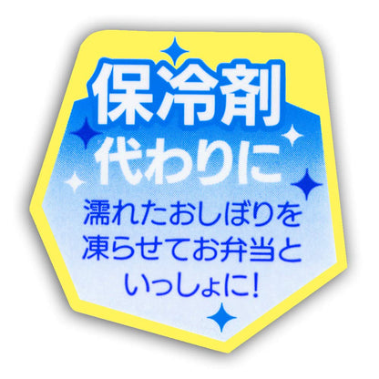 Skater Tomica Towel Set 21 OA5-A with Case Premium Quality- Japan Figure Store - #1 Bring To You The Best Japanese Goods