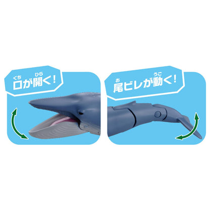 Takara Tomy Ania AL-23 Floating Blue Whale Toy for Kids Ages 3 and Up