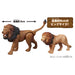 Takara Tomy Ania AL-25 Lion Dinosaur Toy for Kids Ages 3 and Up- Japan Figure Store - #1 Bring To You The Best Japanese Goods