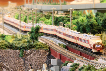 Rokuhan Z Gauge Jnr 485 Series Early Model 'Hibari' 6-Car Basic Set Train Black 481- Japan Figure Store - #1 Bring To You The Best Japanese Goods