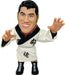 16D Sofubi Collection Legend Masters 017 Antonio Inoki Soft Vinyl Action Figure Japan D00440- Japan Figure Store - #1 Bring To You The Best Japanese Goods