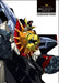 20th Anniversary The King Of Braves Gaogaigar Illust Works