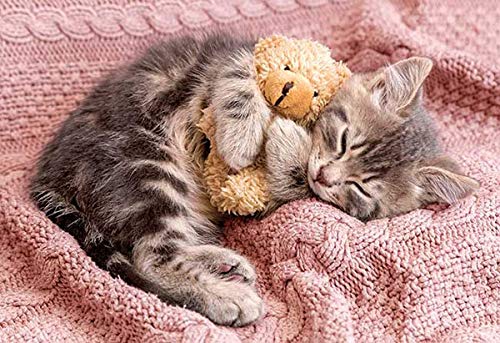APPLEONE 300-356 Jigsaw Puzzle Napping Kitten With Teddy Bear 300 Pieces- Japan Figure Store - #1 Bring To You The Best Japanese Goods