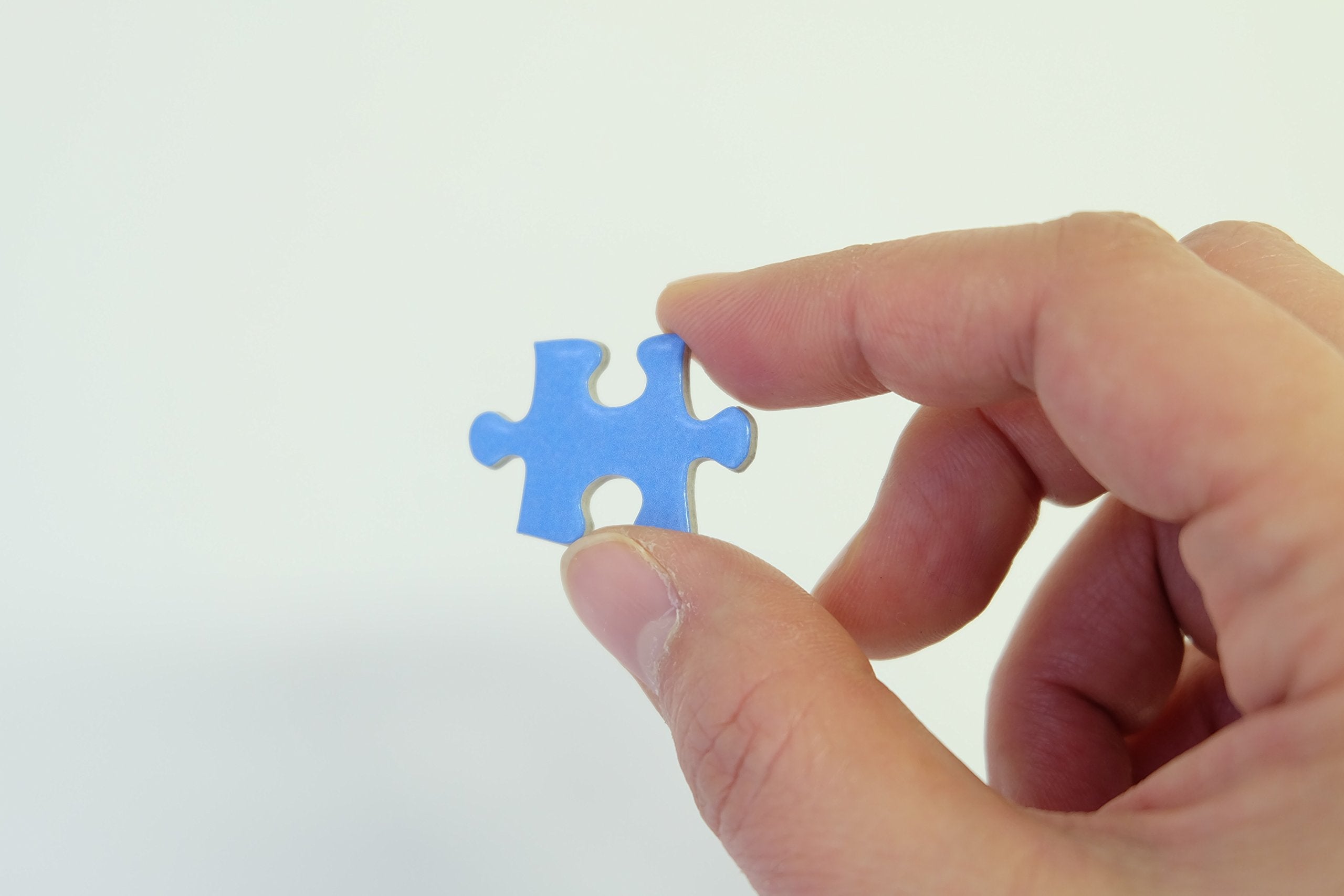 Beverly Jigsaw Puzzle P33-084 Pretty Pet Poodle (300 Pieces) Animal Puzzles- Japan Figure Store - #1 Bring To You The Best Japanese Goods