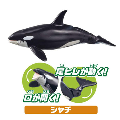 TAKARA TOMY Ania Aa-02 Animal Adventure Aquarium'S Popular Animals Gift Set- Japan Figure Store - #1 Bring To You The Best Japanese Goods