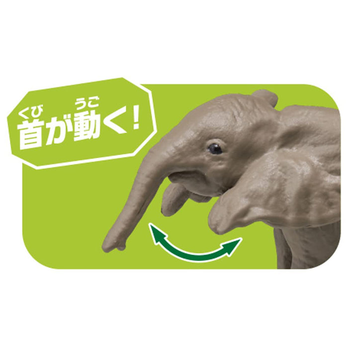 TAKARA TOMY Ania Ac-02 Baby Elephant- Japan Figure Store - #1 Bring To You The Best Japanese Goods