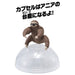 TAKARA TOMY Ania Ac-06 Baby Sloth- Japan Figure Store - #1 Bring To You The Best Japanese Goods