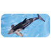 TAKARA TOMY Al-08 Animal Adventure Killer Whale Parent And Child Floating Version Figure- Japan Figure Store - #1 Bring To You The Best Japanese Goods